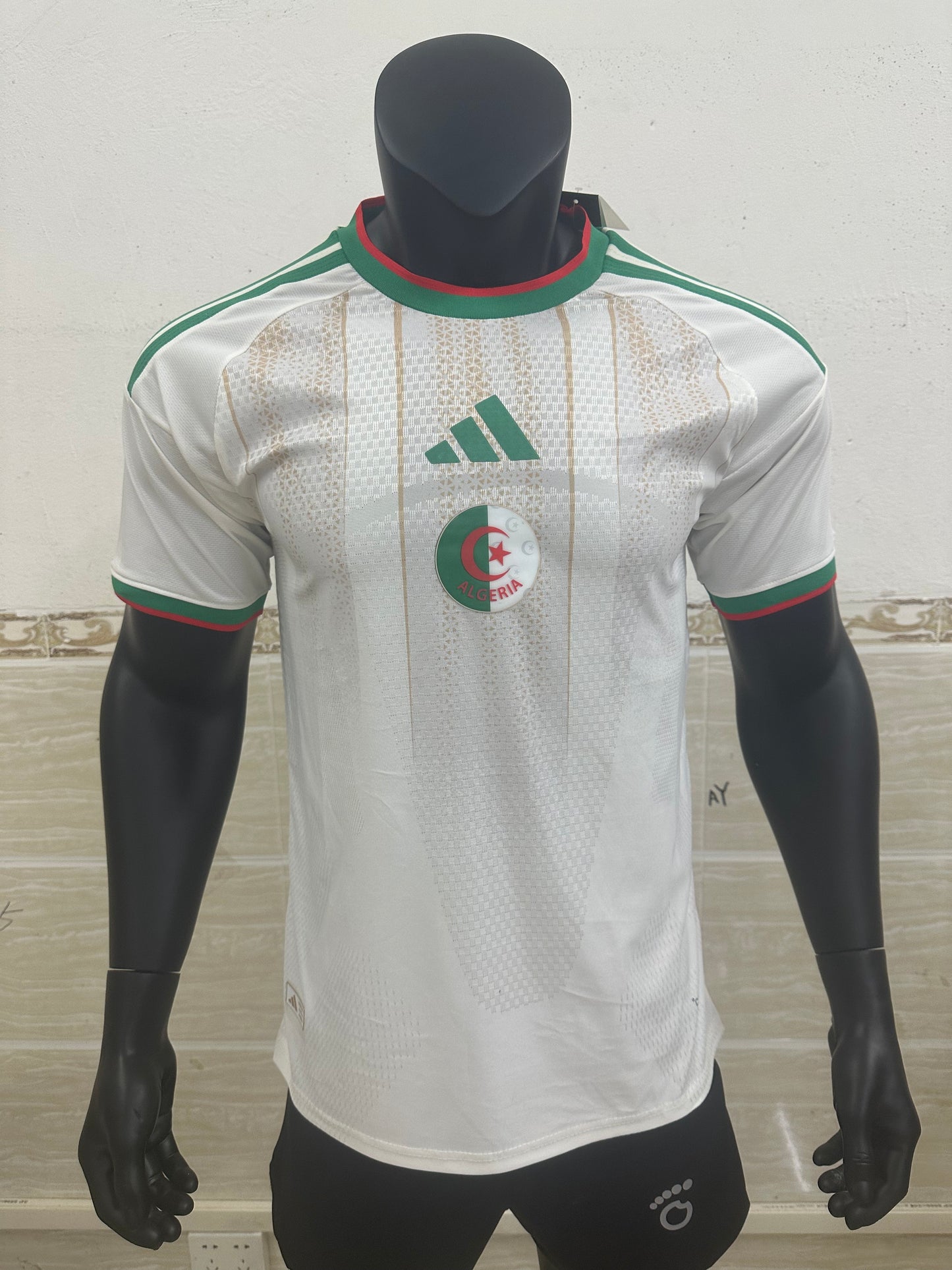Algeria 2026 World Cup Home Jersey (Player, Short Sleeve)