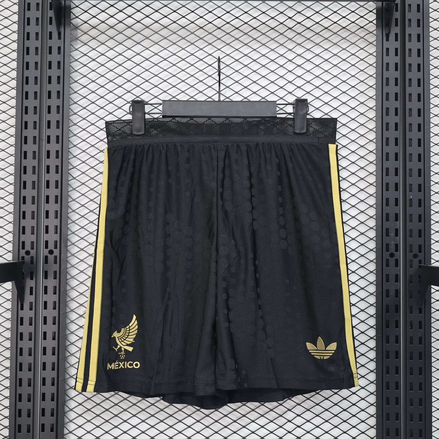 Mexico 2025 Player Shorts (2025)