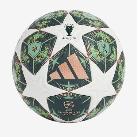 Champions League 24/25