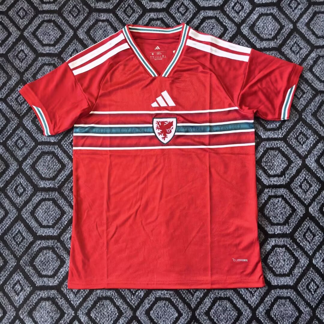 Wales 2026 World Cup Home Jersey (Stadium, Short Sleeve)