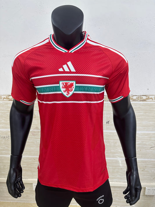 Wales 2026 World Cup Home Jersey (Player, Short Sleeve)